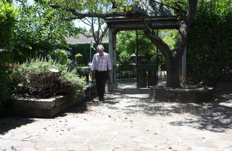 Garden at Petit Logis.