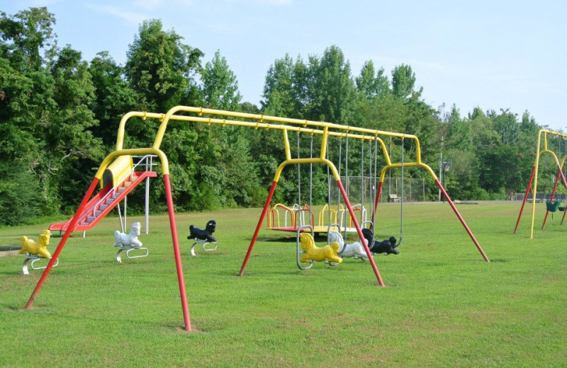 Swings at Mansard Island Resort & Marina.