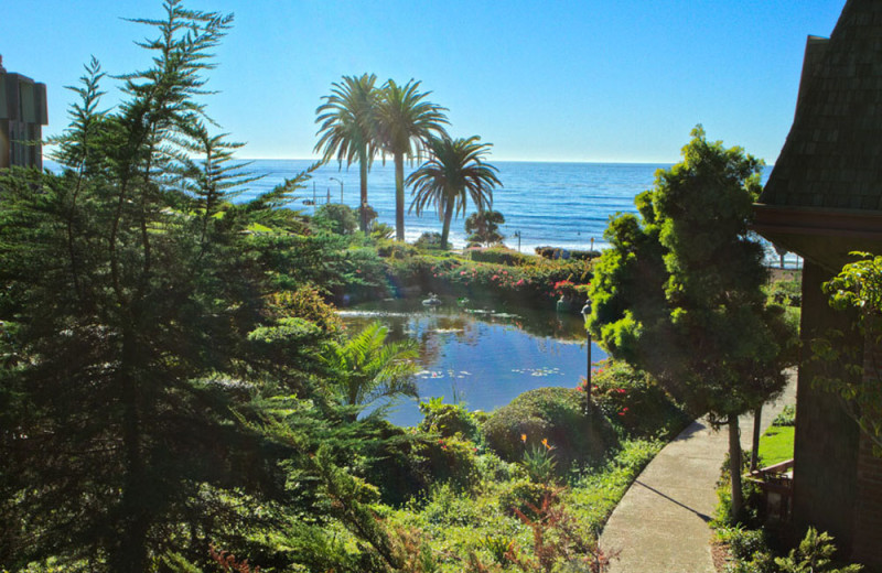 Resort Grounds at the Villa L'Auberge