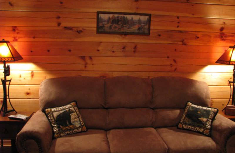 Cabin living room at Copperhead Lodge.