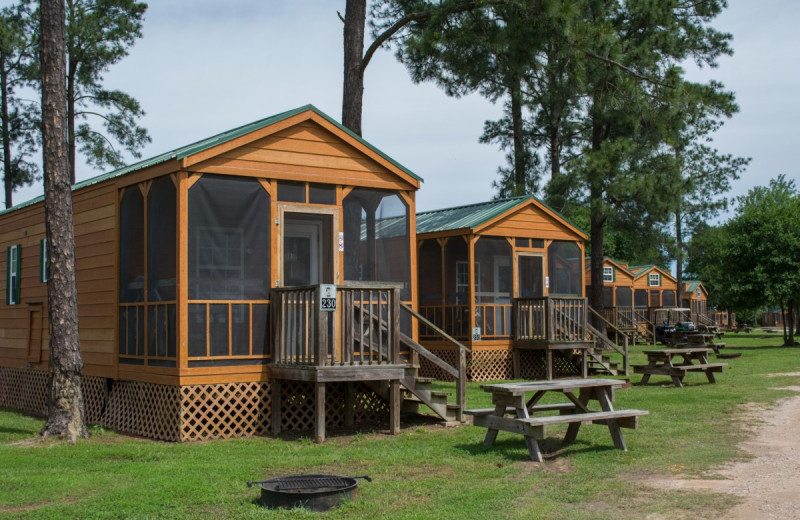 Cabins at Lone Star Jellystone.