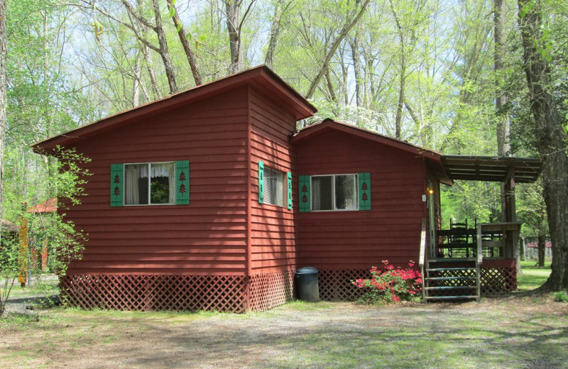 Cabin at River Cove Cabins.