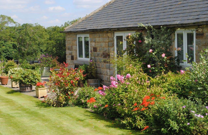 Cottage exterior at Harrogate Holiday Cottages.