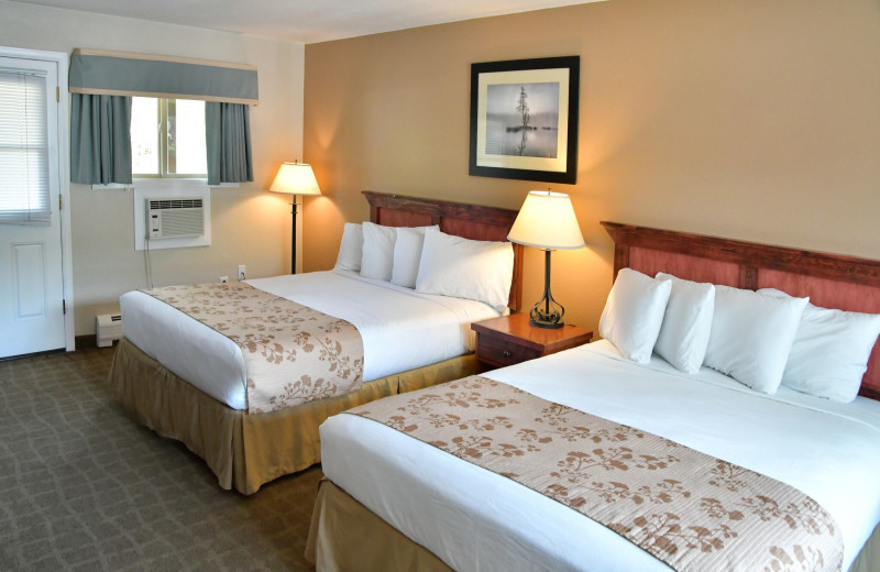 Two bed guest room at Murphy's River Lodge.