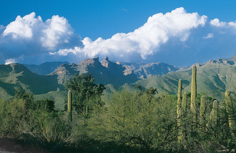 Gorgeous view at Canyon Ranch Tucson.