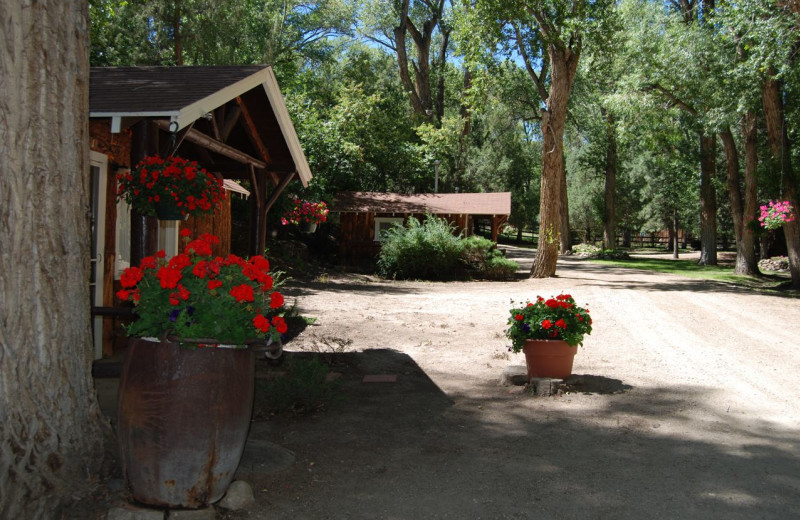 Cabins at River Orchard Place.