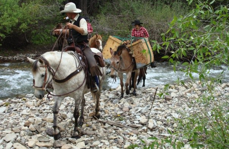 Horseback Riding at Smith Fork Ranch