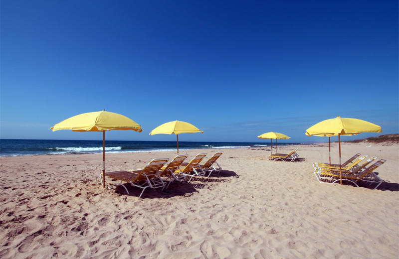 The beach at Hermitage.