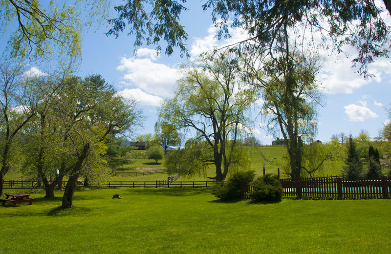 Grounds at Maple Terrace Motel.