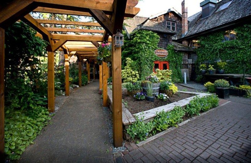 Old House Restaurant at Old House Village Hotel and Spa