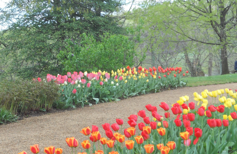 Garden at Inn at Monticello.