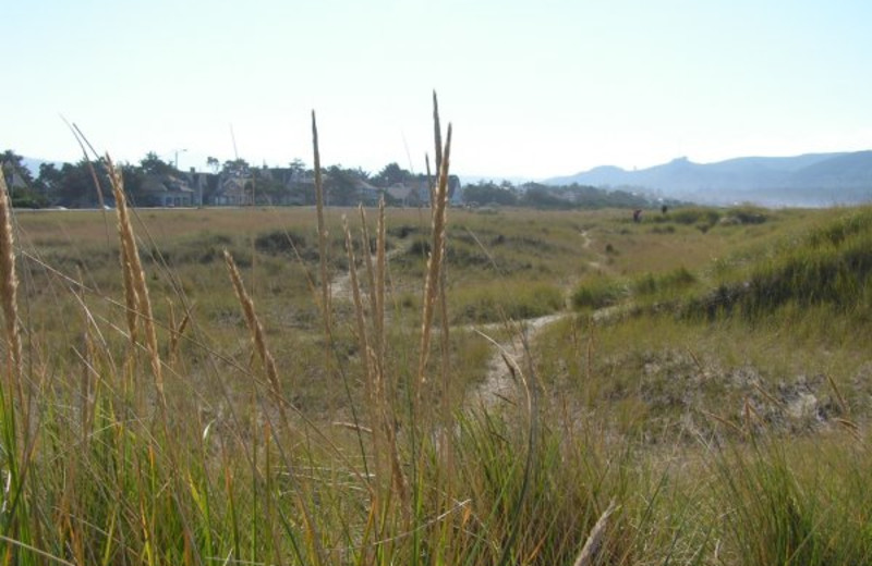 Scenic views near Weiss' Paradise Suites.