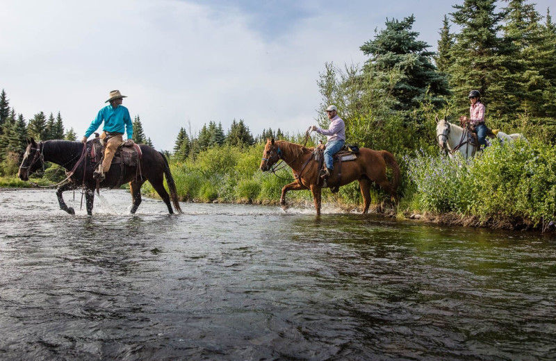 Horseback riding at 4UR Ranch.