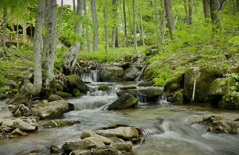 Stream near Premier Vacation Rentals.