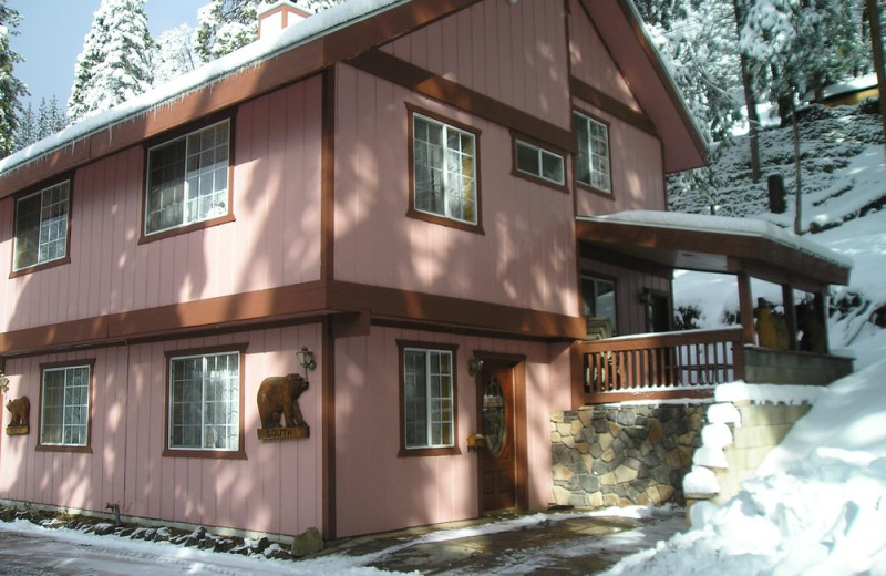 Exterior view of Cozy Bear Cottages.