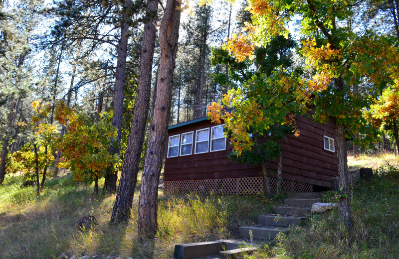 Cabin exterior at Backroads Inn and Cabins.