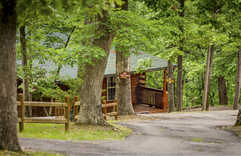Serene cabins in a gorgeous wooded setting.