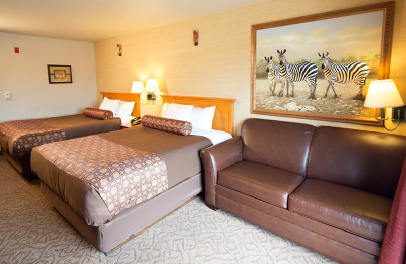 Two bed guest room at Kalahari Waterpark Resort Convention Center.