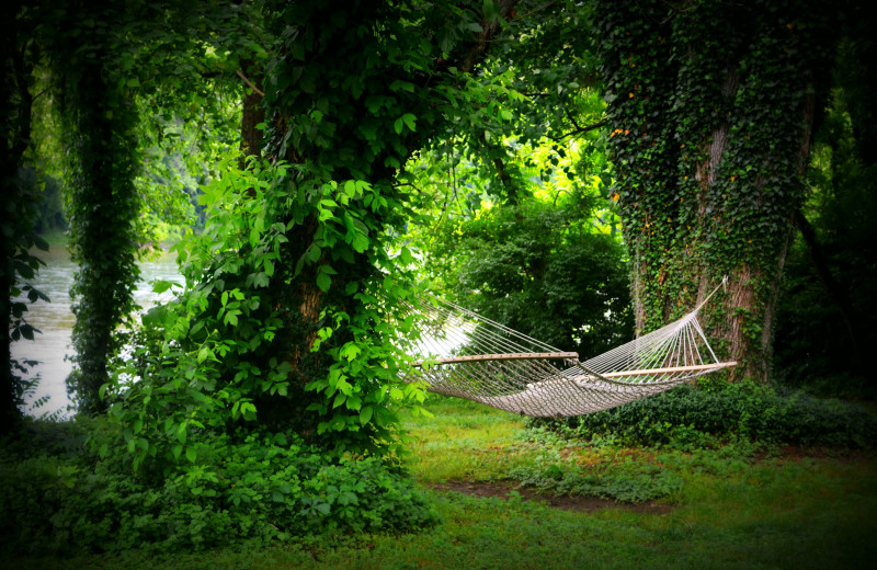 Hammock at Rainbow Drive Resort.