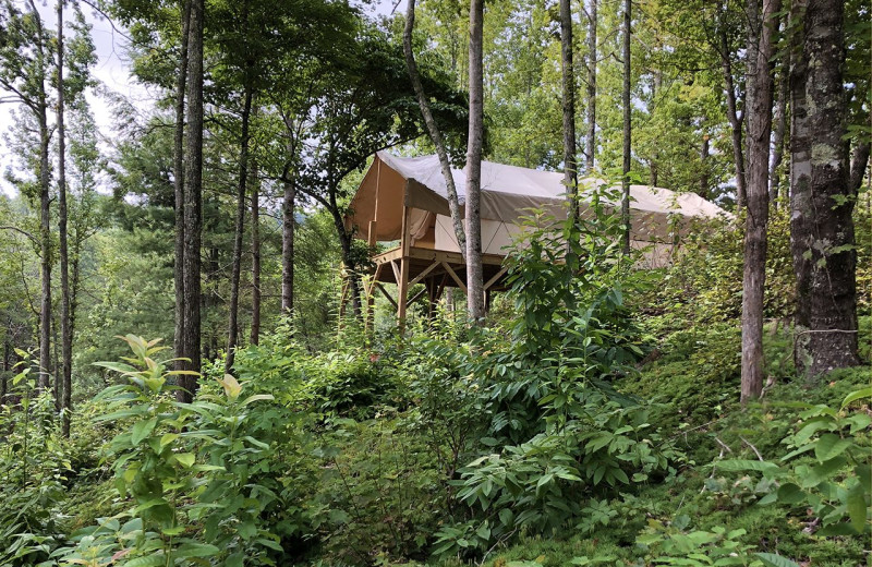 Glamping at Yogi Bear's Camp Golden Valley.