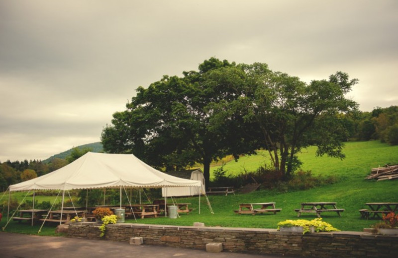 Outdoor patio at Andes Hotel and Restaurant.