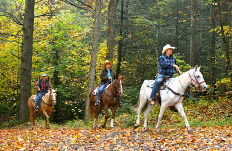 Horseback Riding at Clear Creek Guest Ranch