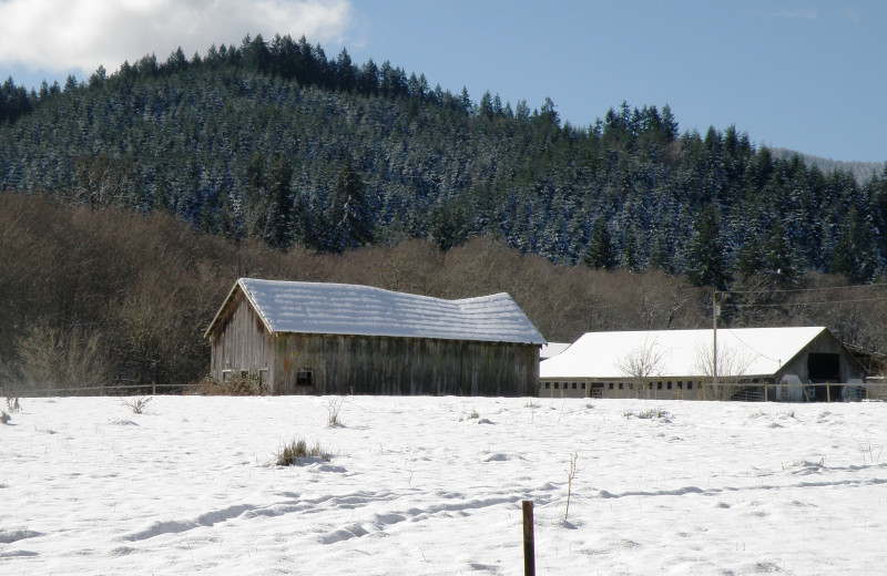 Ranch view at Powder Creek Ranch.