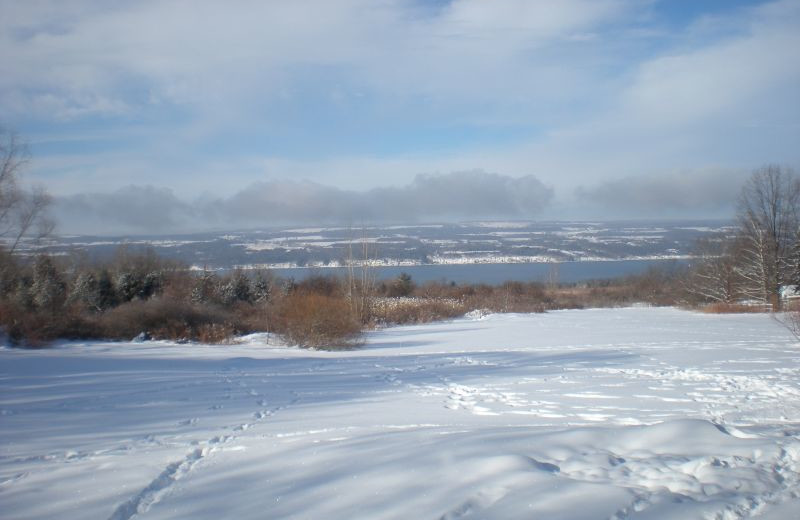 Winter view at The Fox and The Grapes Bed and Breakfast.