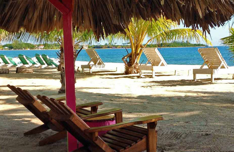 Beach at Ranguana Lodge and Reef Resort.