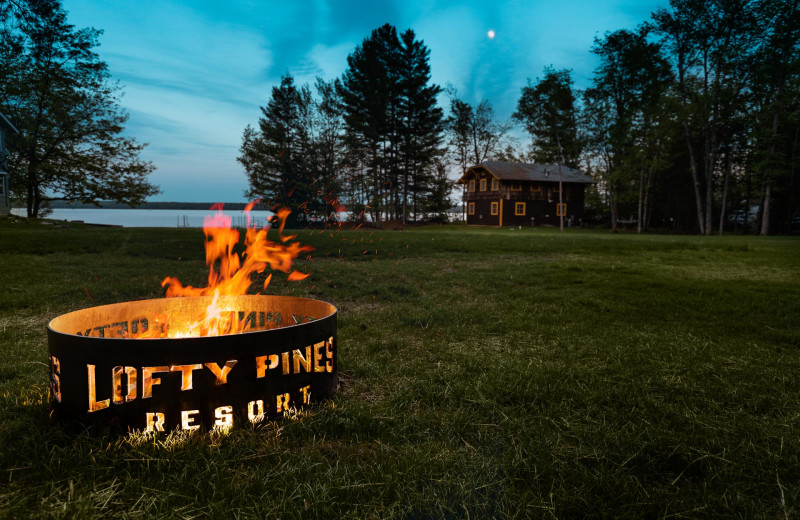 Exterior view of Lofty Pines Resort.