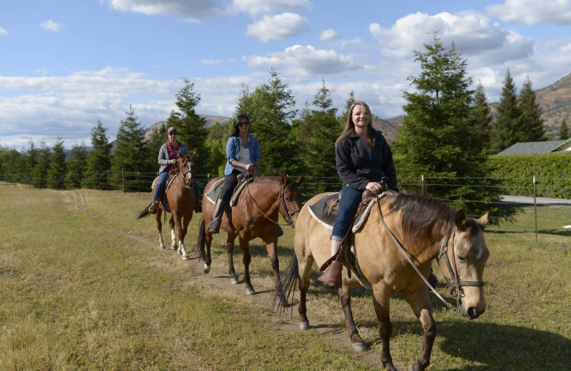 Horseback Riding at Wonder Valley Ranch Resort