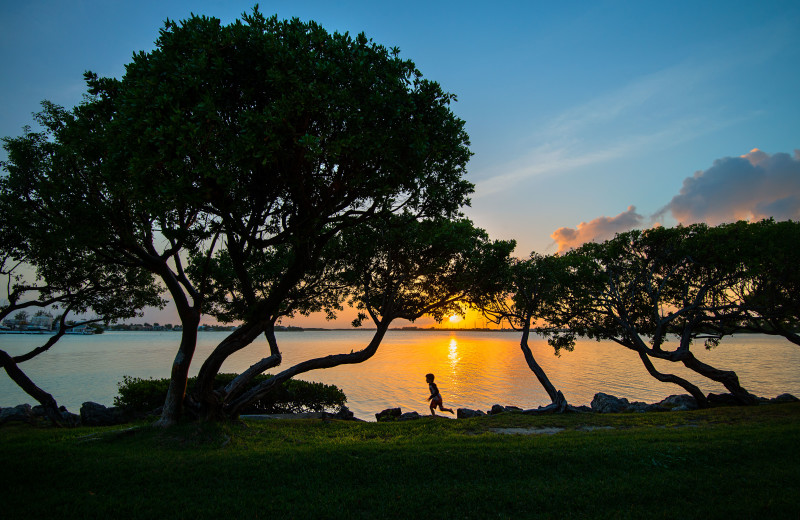 Sunset at Hawks Cay Resort.