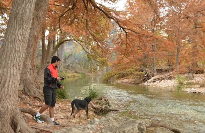 River Bluff Cabins Rio Frio Tx Resort Reviews