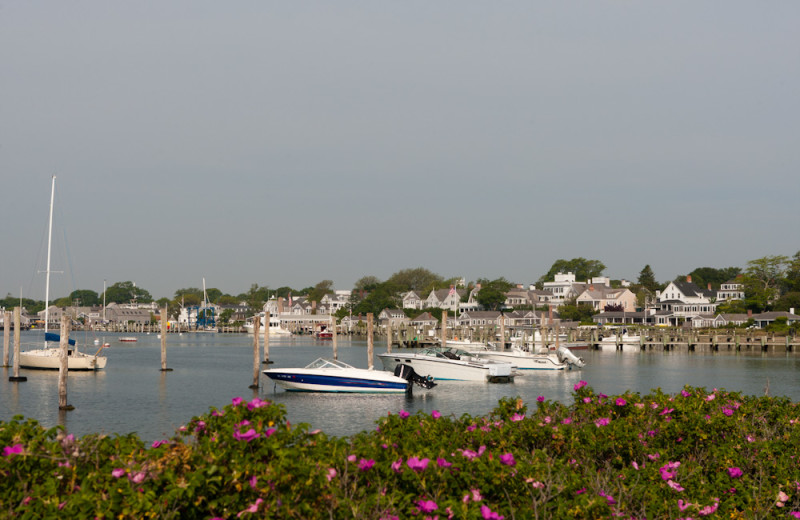 Marina near Vineyard Square Hotel & Suites.