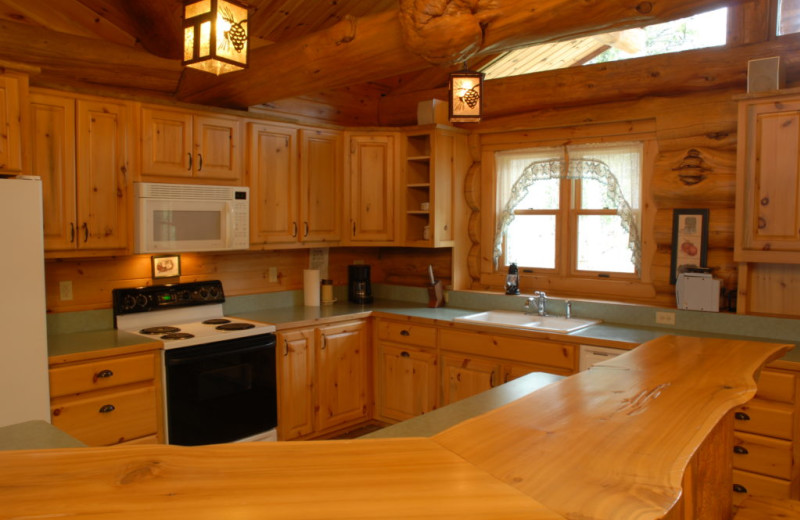 Cabin kitchen at Buckhorn on Caribou.