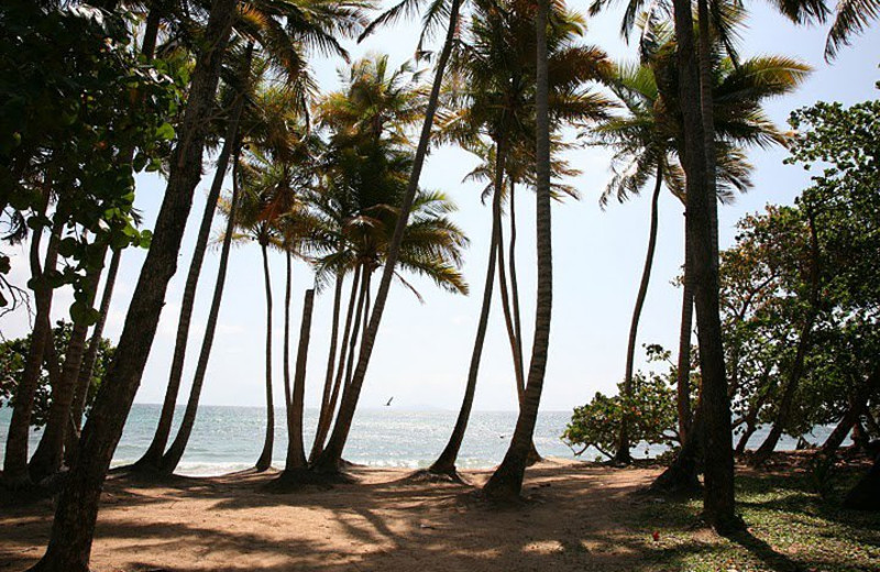 Palmas del Mar Beach Near Club Cala de Palmas