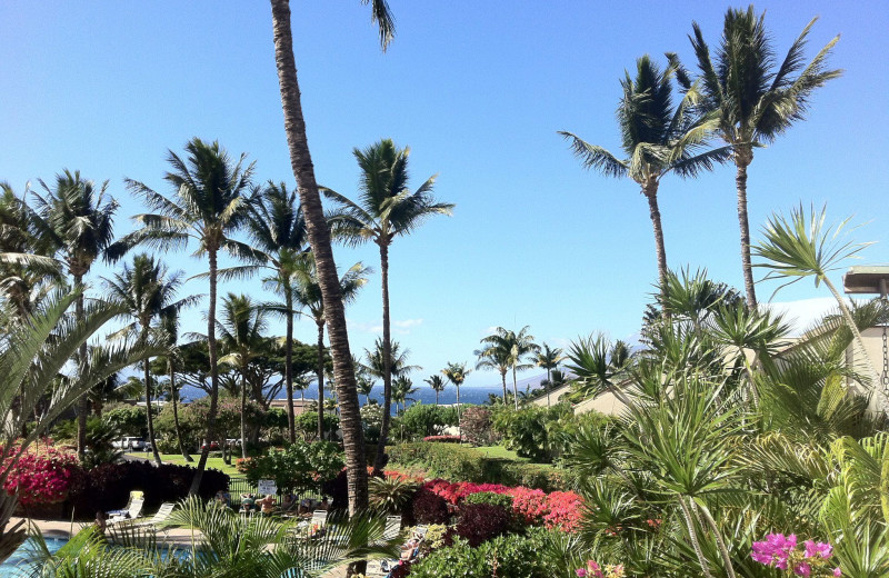 Exterior view of Maui Kamaole.