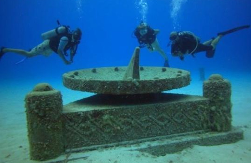 Diving at Ocean Wave.