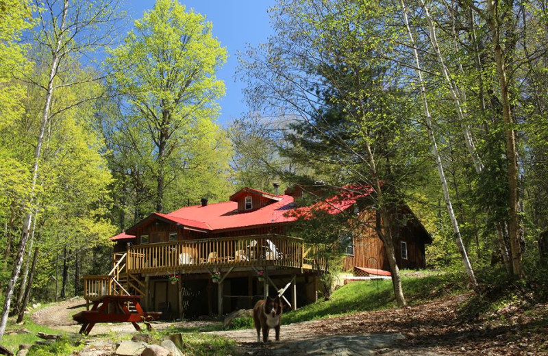 Exterior view of Algonquin Eco-Lodge.