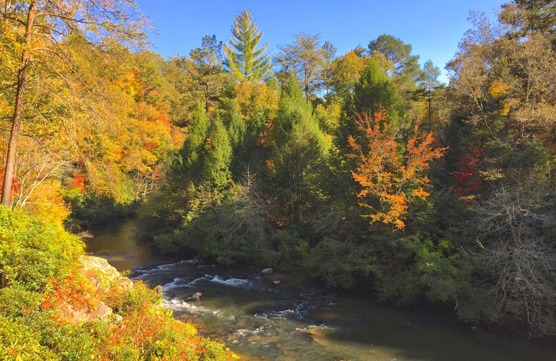 River view at Cabin Rentals of Georgia.