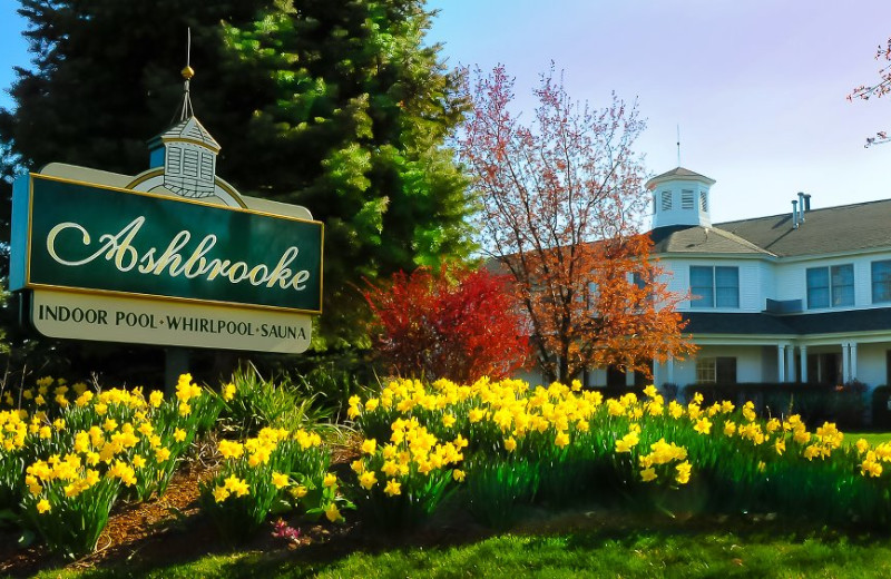 Welcome to the Ashbrooke