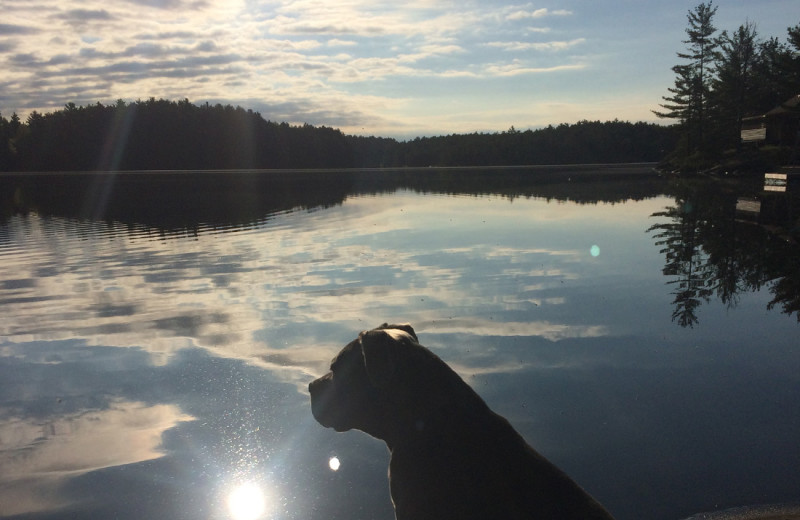 Lake view at Silv'ry Moon Lodge.