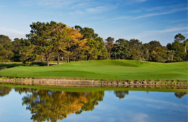 Golf course near Wyndham Bay Point Resort.