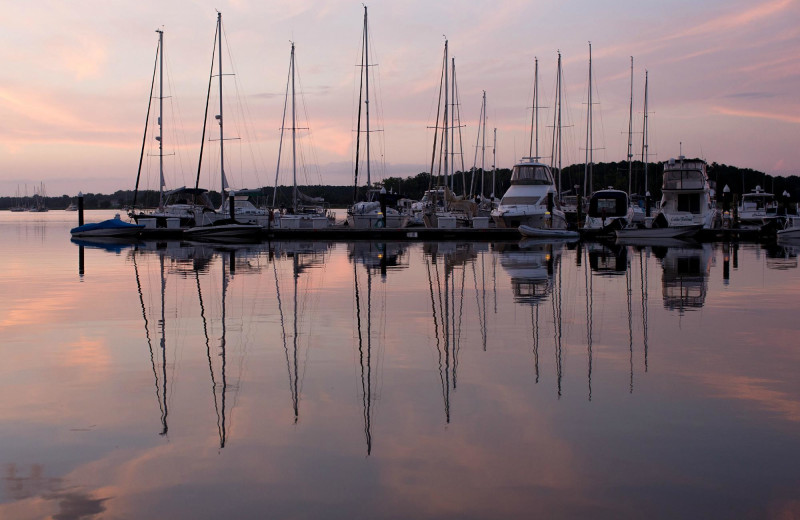 Marina at Osprey Point.