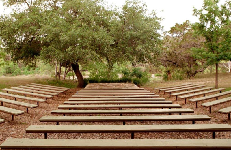 Amphitheater at Camp Balcones Spring.