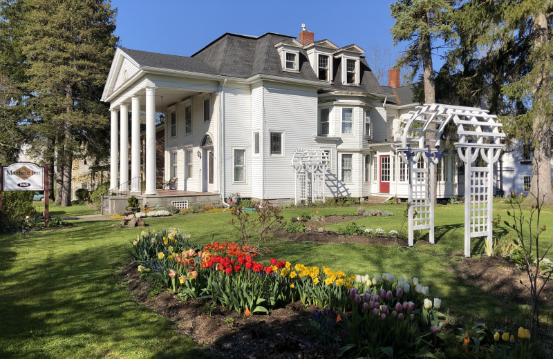 Exterior view of Maxfield Inn Bed 