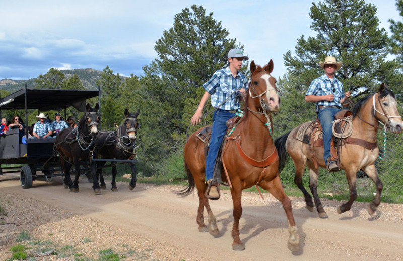 Wagon ride at Zion Ponderosa Ranch Resort.