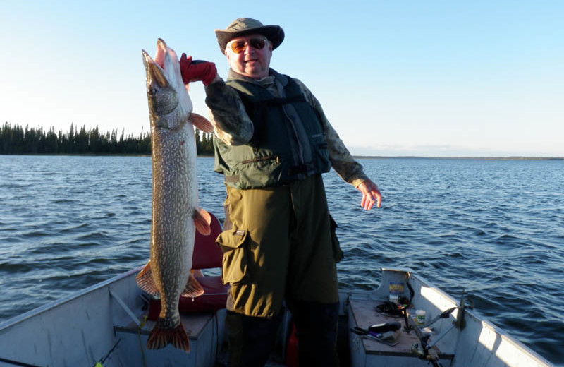 Fishing at Pine Point Lodge & Outposts.