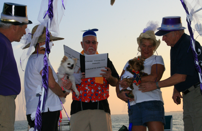 Dog wedding at Navarre Beach Campground.