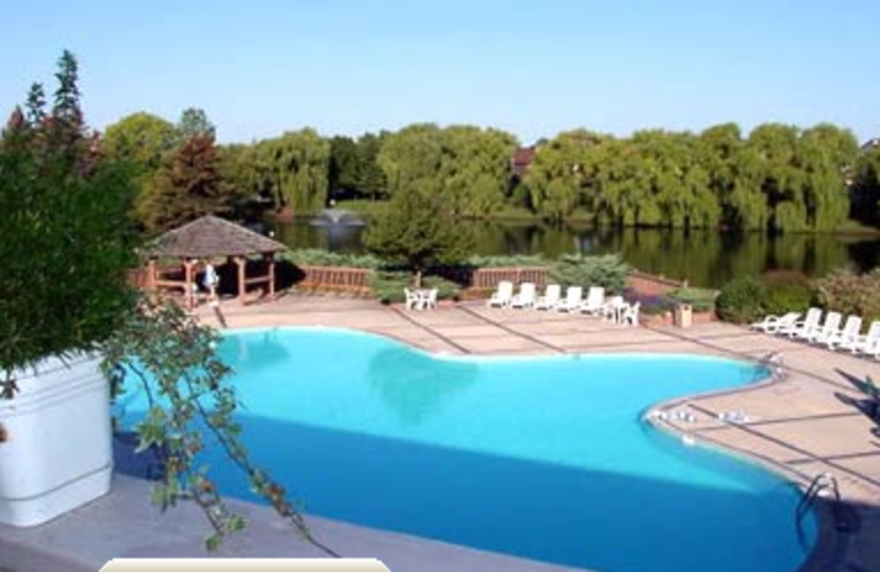 Outdoor Pool at Olympia Resort